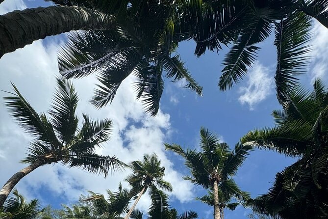 Mahe island Seychelles , unforgettable & adventurous tour - The wider Mahé drive: beaches, boulders, and photo stops
