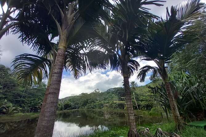 Mahe island Seychelles , unforgettable & adventurous tour - Domaine de Val des Pres and the craft side of Mahé