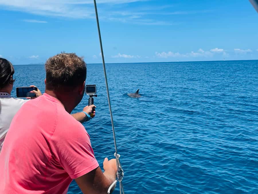 Mahe Island: St. Anne Marine Park Snorkeling Trip - Why the guide can make or break the morning