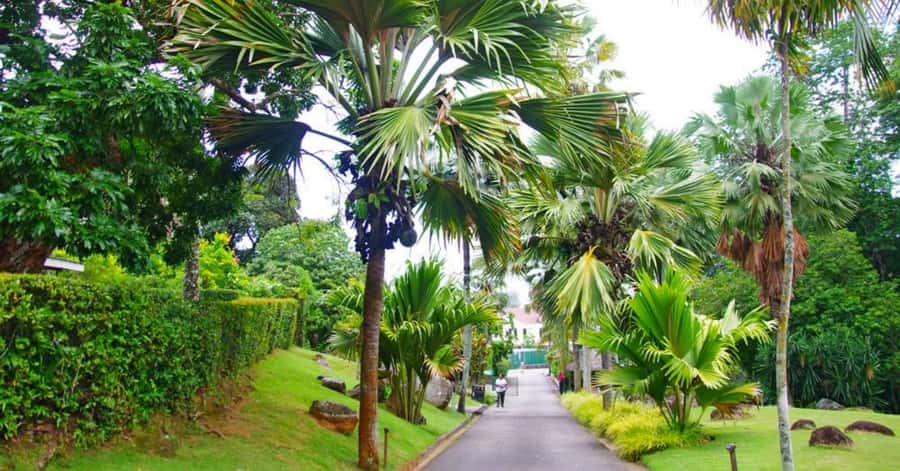 Mahé: Private Customizable Full-Day Tour with Hotel Pickup - Key points at a glance