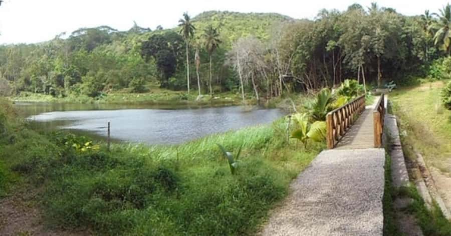 Mahé: Private Customizable Island Tour with Hotel Transfer - What the drivers add to the experience