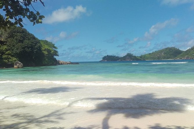 Mahe Private full day tour - Victoria Market brings you into daily island life