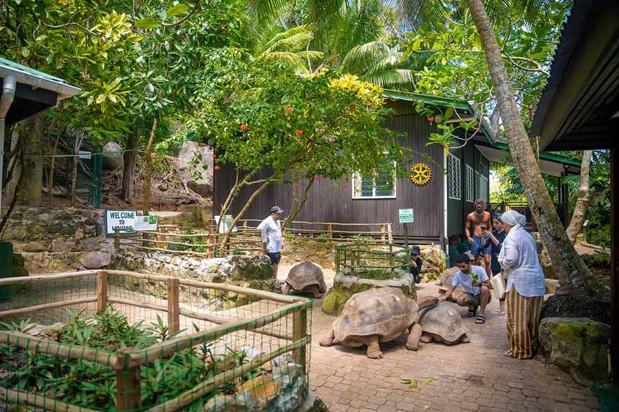 Mahé: Saint-Anne Marine Park and Moyenne Island Cruise - The first snorkeling stop