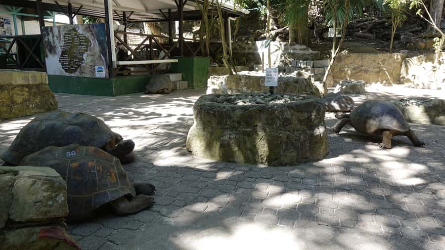 Mahe: St.Anne Marine National Park Reef Safari with Lunch - Why this full-day trip works well
