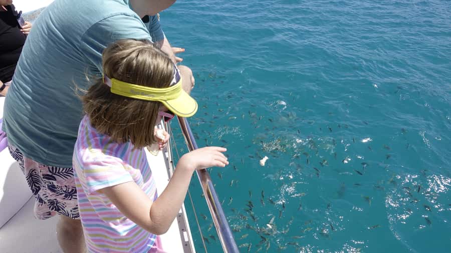 Mahe: St.Anne Marine National Park Reef Safari with Lunch - Seeing the reef from below on the semi-submersible boat
