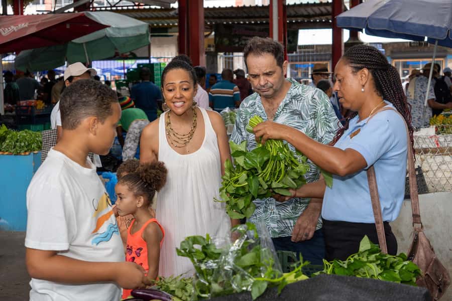 Mahé: Wild South Discovery Trip with Local Lunch - The essential facts at a glance