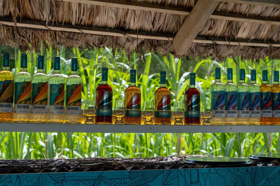 Mahé: Wild South Discovery Trip with Local Lunch - A Creole buffet at Cap Lazare