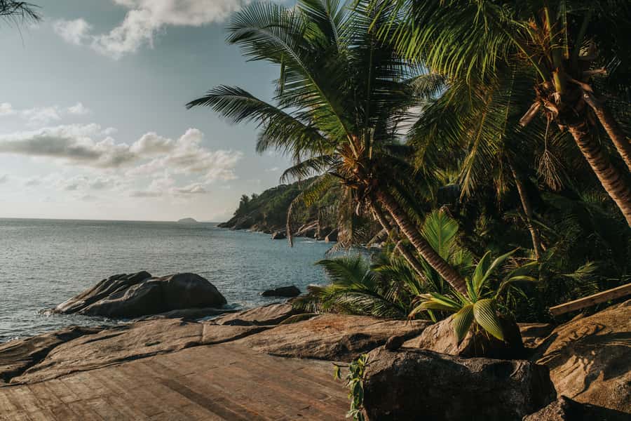 Mahé: Wild South Discovery Trip with Local Lunch - Is $138 a fair price?