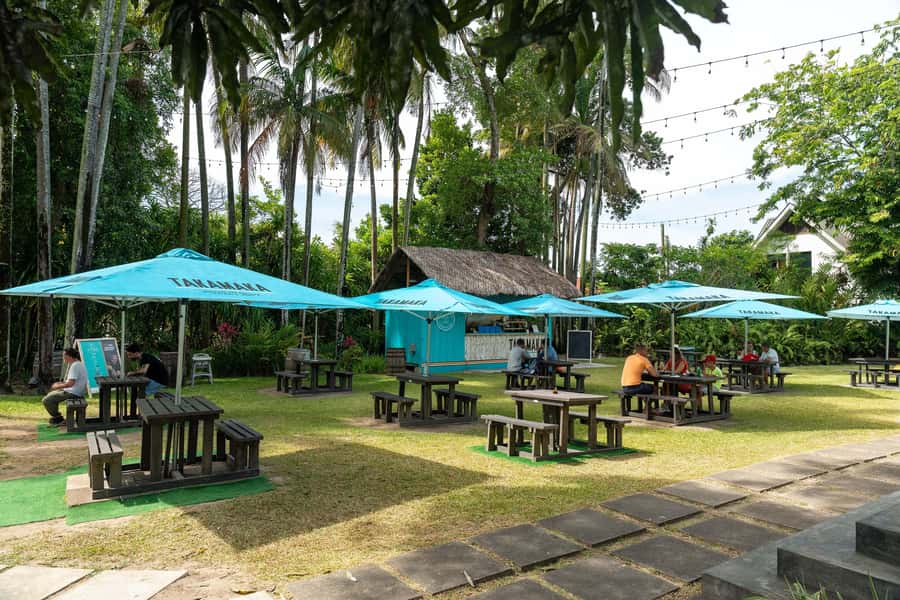 Mahé: Wild South Discovery Trip with Local Lunch - Pickup details you should not ignore