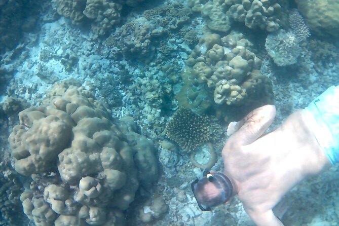 Praslin Curieuse, St Pierre &AnseLafarine fullday trip CreoleBBQ - A Creole BBQ at about 12:30pm
