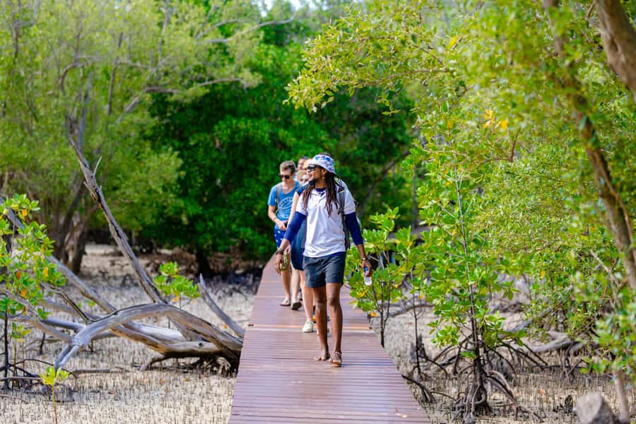 Praslin: Curieuse & St. Pierre Full-Day Boat Trip with Lunch - A Beach BBQ with Creole Flavor