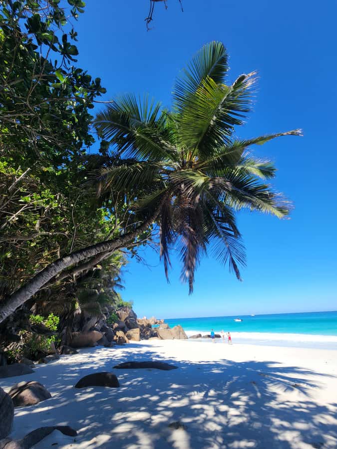 Praslin: Full Day Private Tour - Viewpoints and optional snorkeling