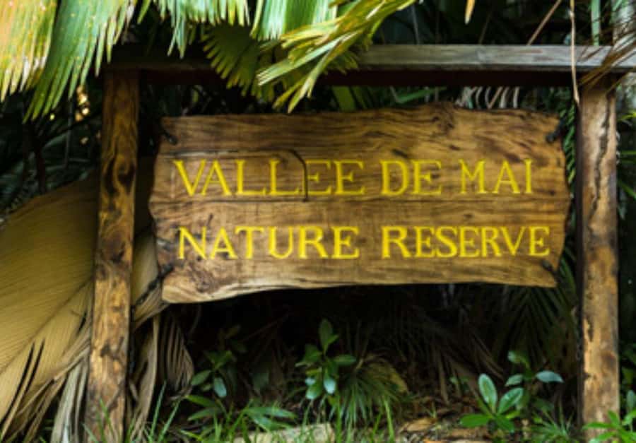 Praslin : Private tour - Why this private day works well on Praslin