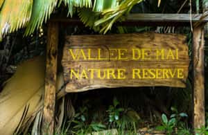 Praslin : Private tour - What to pack for a day of forest and beach