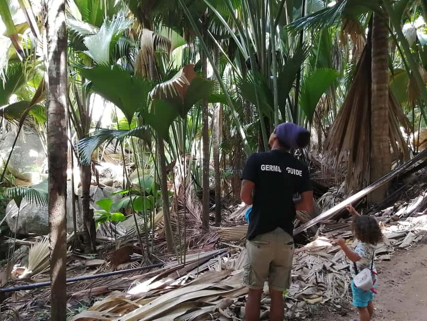Praslin: private tour of the Vallée de Mai with a local guide - What the 75-Minute Guided Walk Gives You