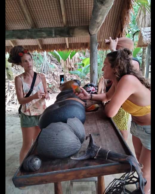 Praslin: private tour of the Vallée de Mai with a local guide - Should You Book the Vallée de Mai Private Tour?