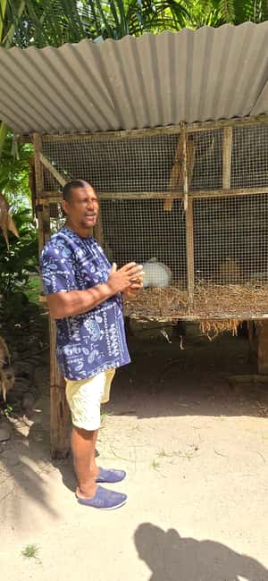 Praslin:Private Tour ValleDeMai,CoteD'orMuseum & AnseLazio - What the private format really adds