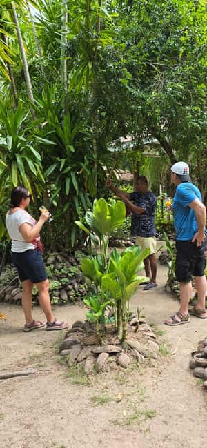 Praslin:Private Tour ValleDeMai,CoteD'orMuseum & AnseLazio - Who should book this Praslin tour?