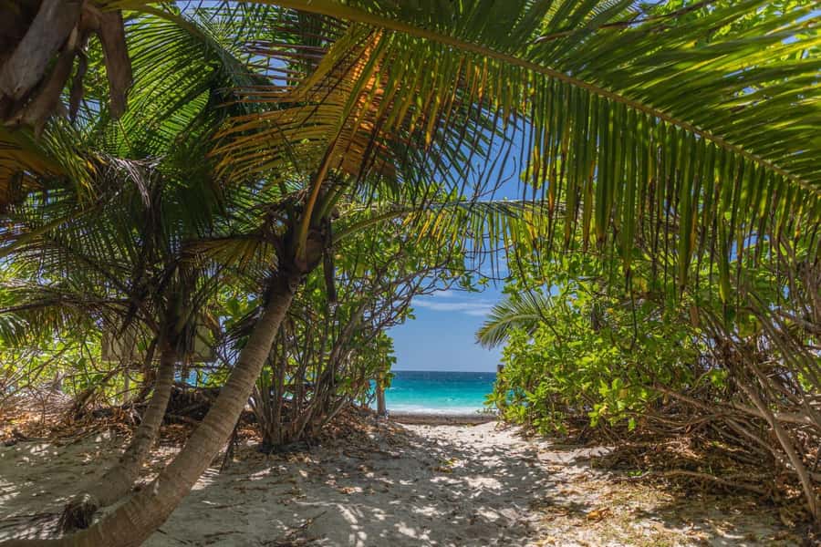 Praslin: Sister & Coco Island Full-Day Cruise and Creole BBQ - Quick reasons to consider this cruise