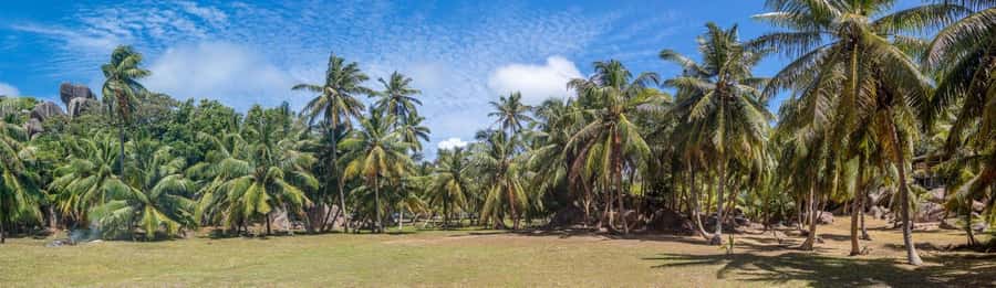 Praslin: Sister & Coco Island Full-Day Cruise and Creole BBQ - Félicité adds one more chance to snorkel