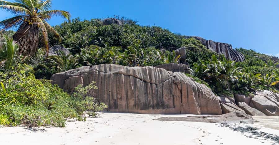 Praslin: Sister & Coco Island Full-Day Cruise and Creole BBQ - Sister Island: the day’s strongest stop