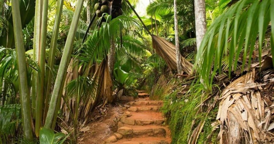 Praslin : Tour (Shared) - Guides, drivers, and the human side of the day