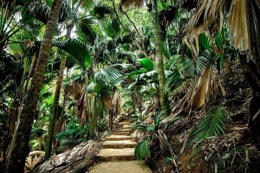 Praslin : Tour (Shared) - Should you book it?