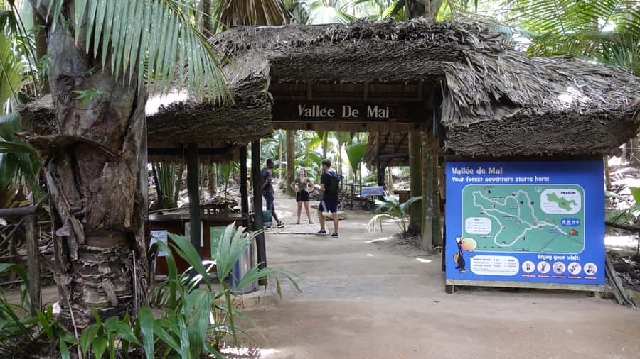 Praslin: Vallée de Mai and Anse Lazio Beach Full-day Tour - Why this Praslin day makes sense