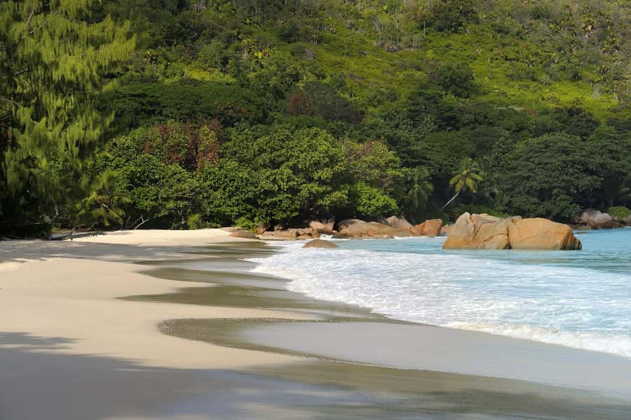 Praslin: Vallée de Mai and Anse Lazio Beach Full-day Tour - The long afternoon at Anse Lazio