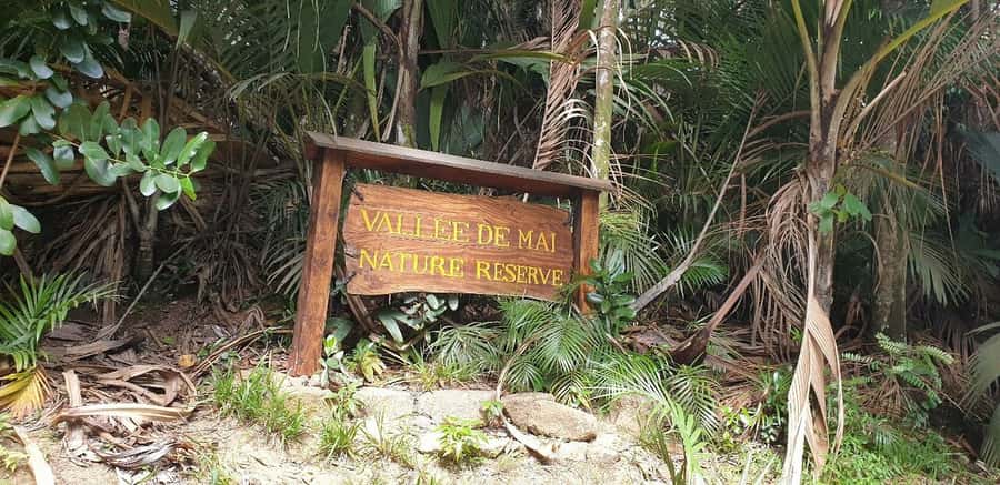 Praslin: Vallée de Mai and Anse Lazio Beach Full-day Tour - What the guides add to the day