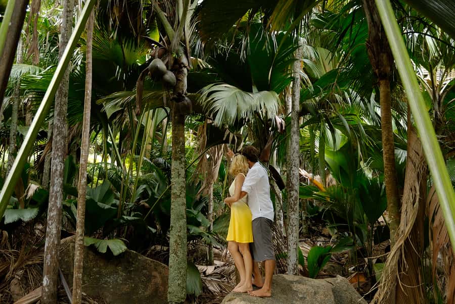 Praslin: Vallée de Mai and Anse Lazio Beach Full-day Tour - Practical tips for a smoother day