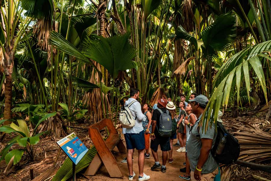 Praslin: Vallee de Mai Guided Hike with Transfer - The Coco de Mer and the valley’s strangest story