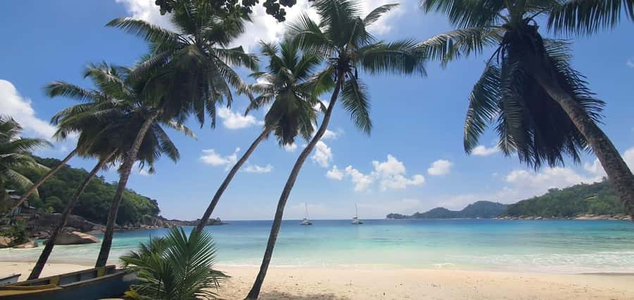 Private Customized Tour: Explore Mahe beyond the ordinary - The market shows everyday Seychelles