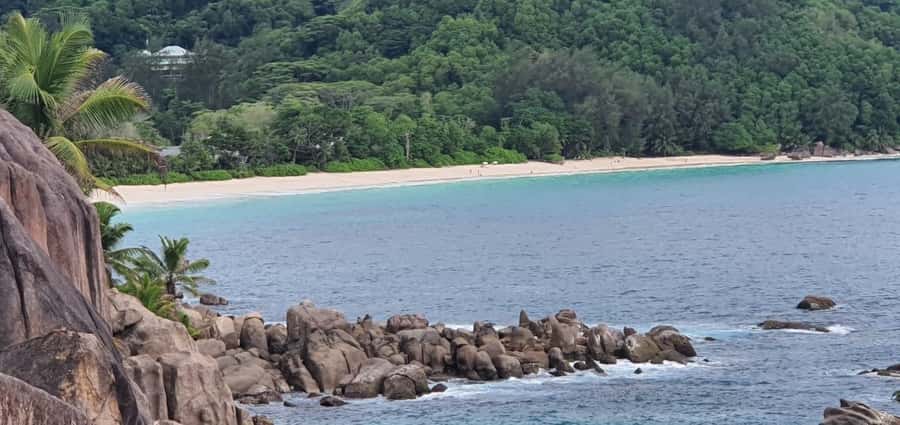 Private Customized Tour: Explore Mahe beyond the ordinary - The Botanical Garden brings coco de mer and giant tortoises together