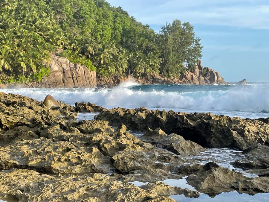 Private Customized Tour: Explore Mahe beyond the ordinary - Christopher’s guiding style is part of the value