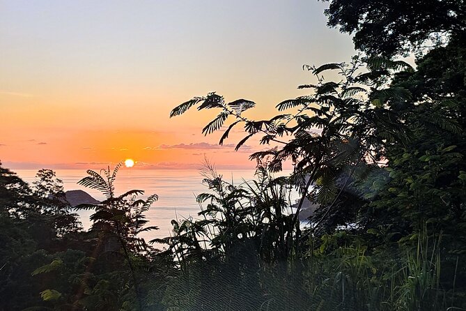 Private Day Tour in Seychelles - Key points to know before booking