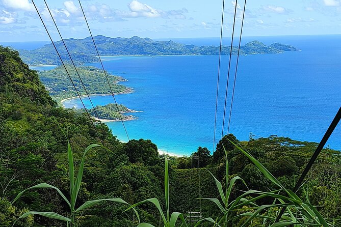 Private Day Tour in Seychelles - The Botanical Gardens add shade and birdsong