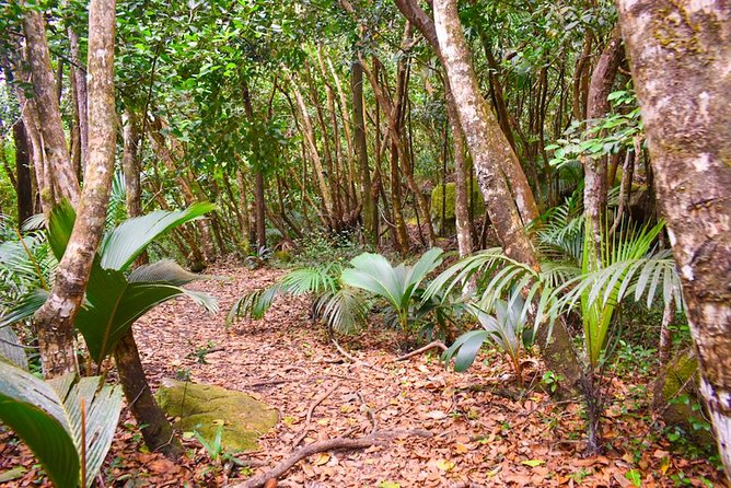 Private Full day Mahé island tour (1-2 persons) - What the guide adds to the day