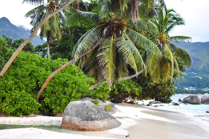 Private Half Day Mahe Island Tour (1-5 persons) - Price and group size: when $225.54 makes sense