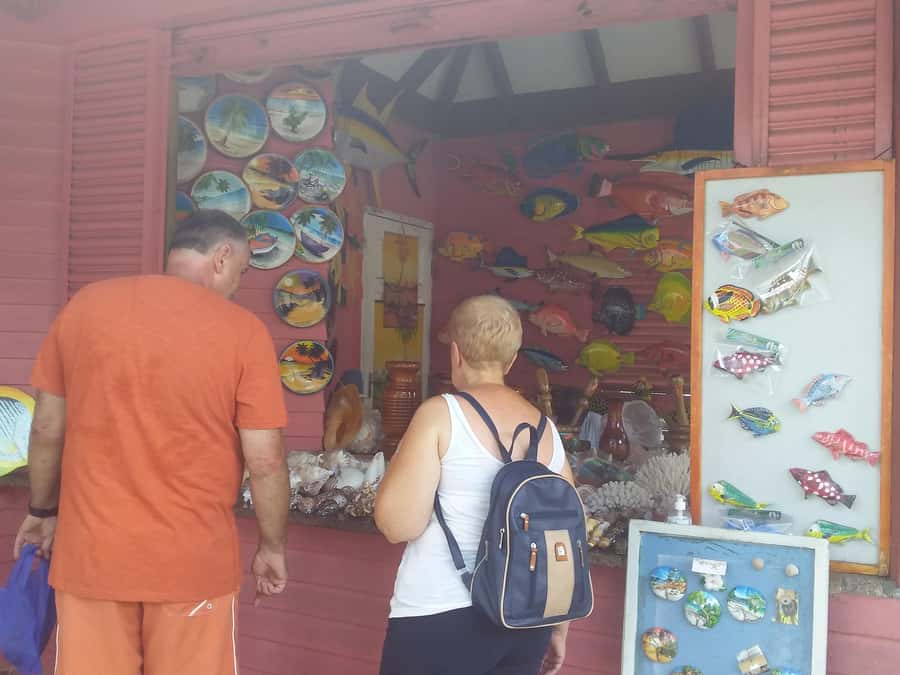 Private half day tour with free rum tasting - Key points at a glance