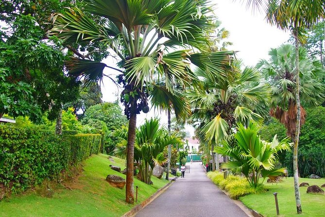 Private Mahe Island Full day Tour with Pickup - Takamaka Rum Distillery, history with a tasting
