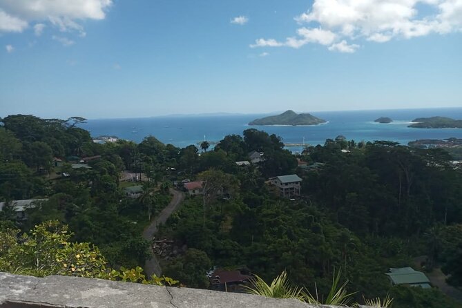 Private Mahe Island Full day Tour with Pickup - Two hours among palms at the Botanical Gardens