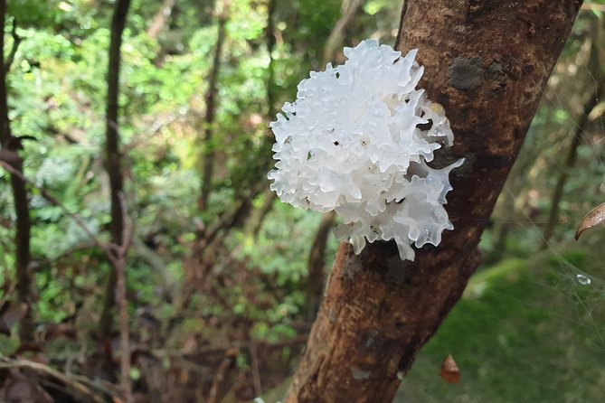 Private Nature Tours & Trail 1 to 5 persons - Key things to know before booking