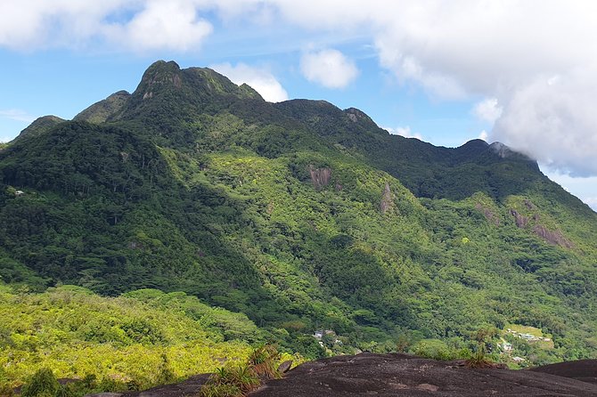 Private Nature Tours & Trail 1 to 5 persons - Why this private Mahe day works so well