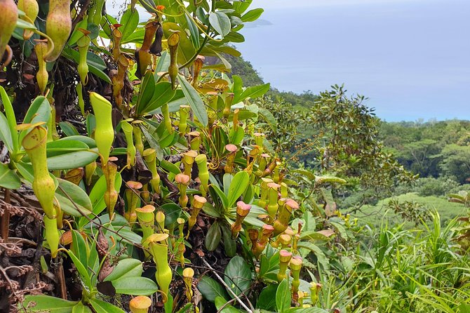 Private Nature Tours & Trail 1 to 5 persons - What to wear and bring for the trails