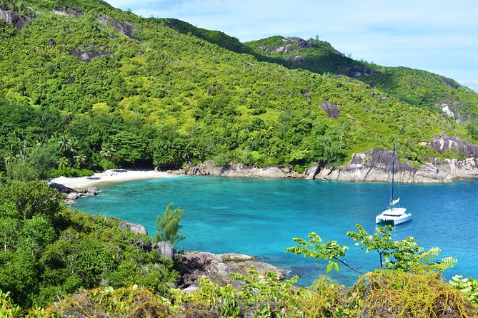 Private Nature Trail (Hiking) (1-2 persons) - Morne Blanc: the strongest choice for forest and wildlife