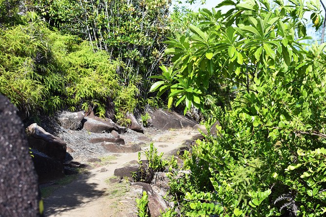 Private Nature Trail (Hiking) (1-2 persons) - What the private format adds