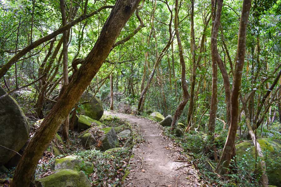 Private nature trail/hiking (5-7 Persons) - Why this Mahé hike is worth making time for