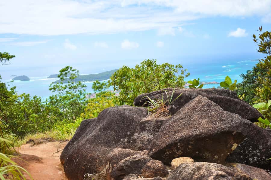 Private nature trail/hiking (5-7 Persons) - Choosing between four forest routes