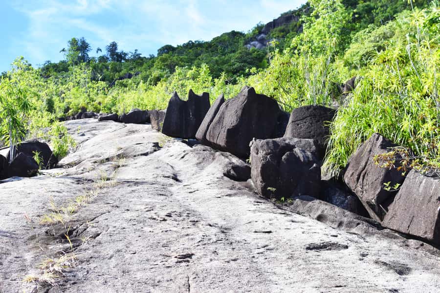 Private nature trail/hiking (5-7 Persons) - What the trail feels like underfoot